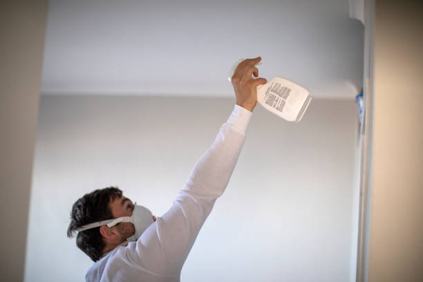 Best Local Mold Removal Service  in Santa Rosa Valley, CA