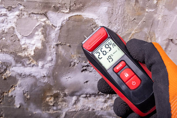 Best Toxic Mold Removal  in Santa Rosa Valley, CA
