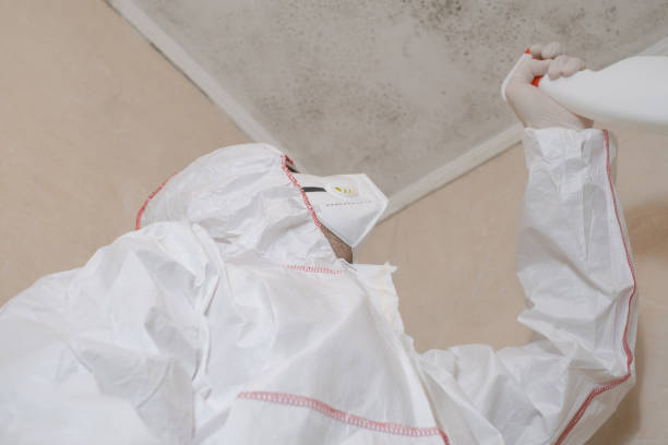 Best Residential Mold Removal  in Santa Rosa Valley, CA